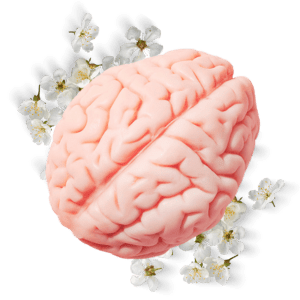 Curso de Psicoterapia e Psicanálise do Instituto Saber Consciente vale a pena e é melhor o curso de  Psicoterapia e Psicanálise 2025 para iniciantes