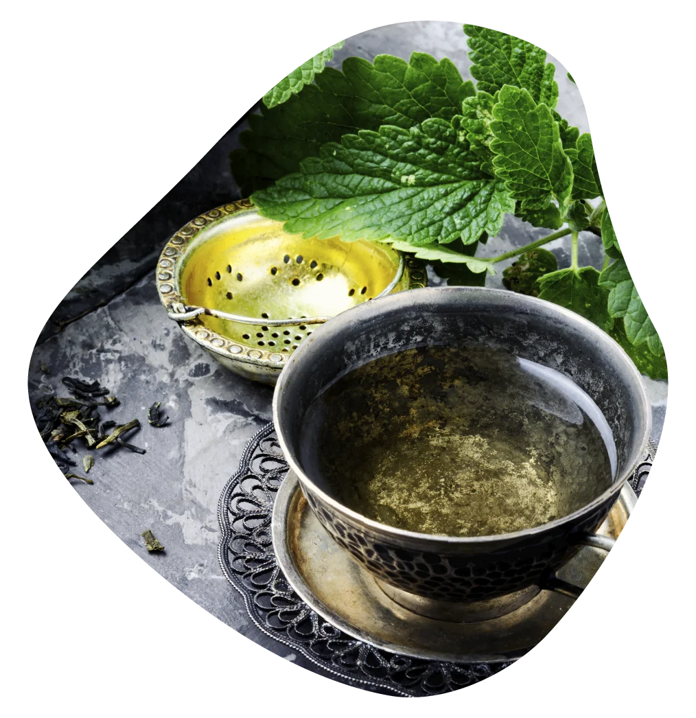 Curso Formação Fito recomendado para iniciantes em fitoterapia