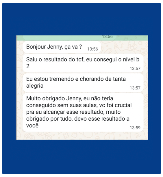 Curso Dominando o francês - Do zero ao nível B2 (CLB7) depoimentos vale a pena