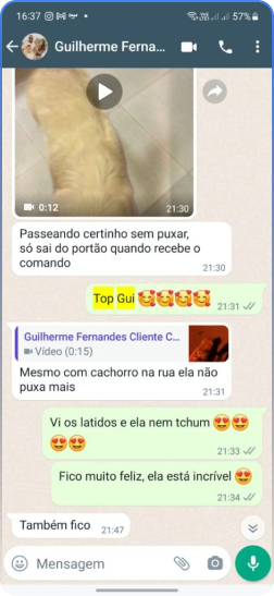 Método Cão Adestrado depoimentos vale a pena