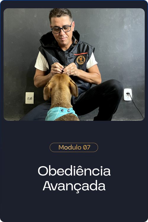 Método Cão Adestrado suporte de duvidas em adestramento de cães