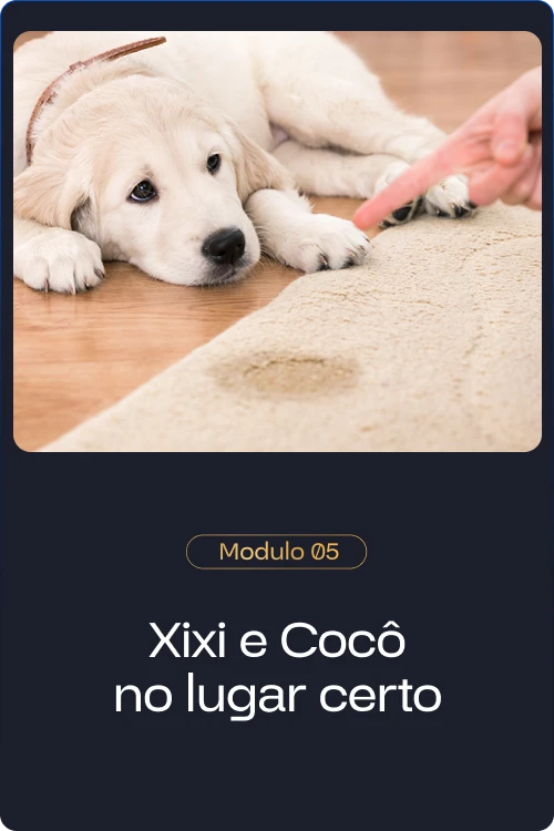 Método Cão Adestrado vale a pena comprar?