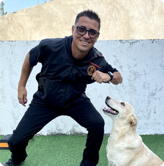 Método Cão Adestrado vale a pena e é melhor o curso de adestramento de cães 2025 para iniciantes