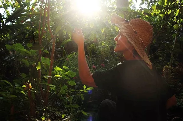 Curso O Maravilhoso Mundo dos Jardins Agroecológicos vale a pena comprar?