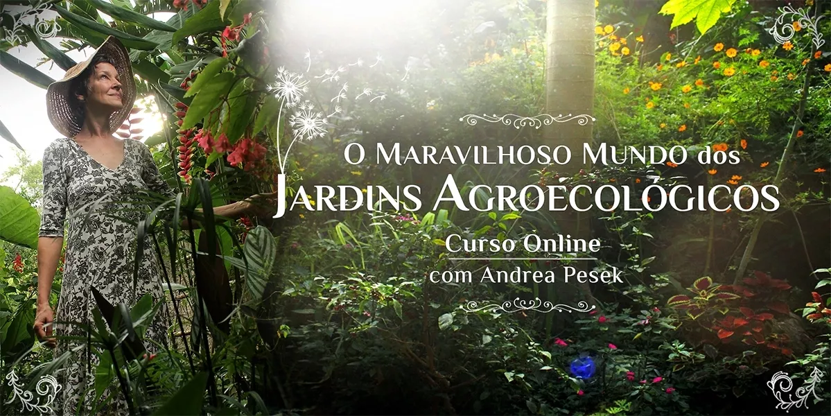 Curso O Maravilhoso Mundo dos Jardins Agroecológicos vale a pena e é melhor o curso de Jardins Agroecológicos 2025 para iniciantes