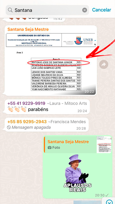 Curso Seja Mestre depoimentos vale a pena