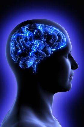 Formação em Psicanálise Holística Clínica vale a pena comprar?